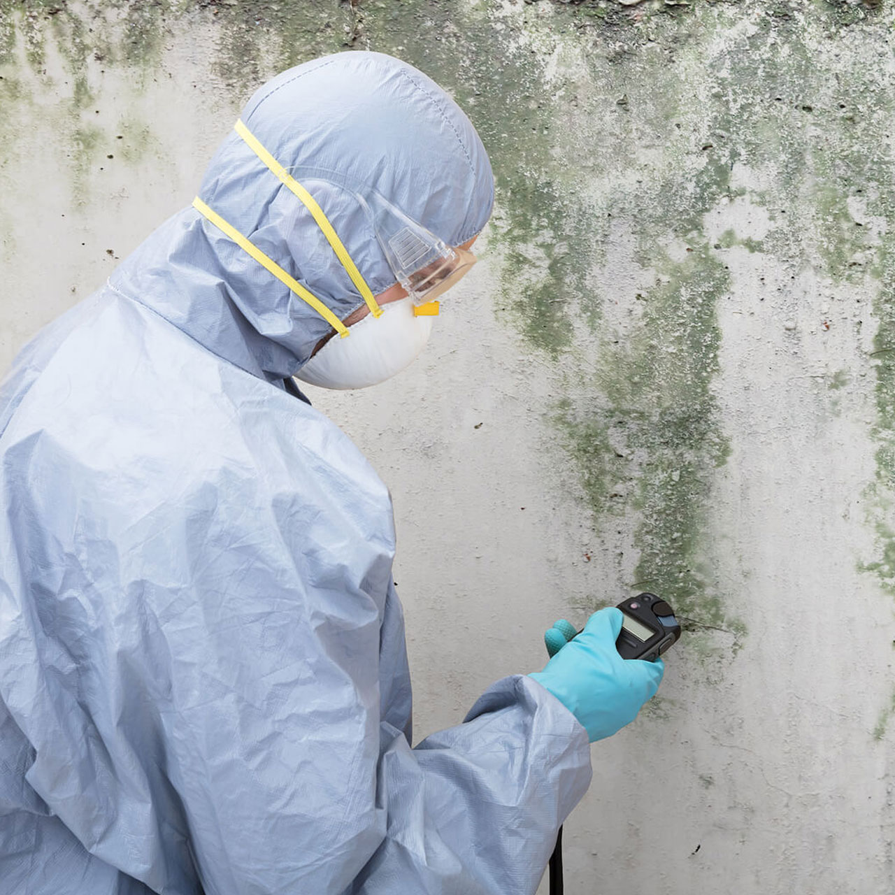 Mold Remediation in Ellenwood, GA